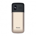 Мобильный Телефон Olmio M22 (Золото) 0